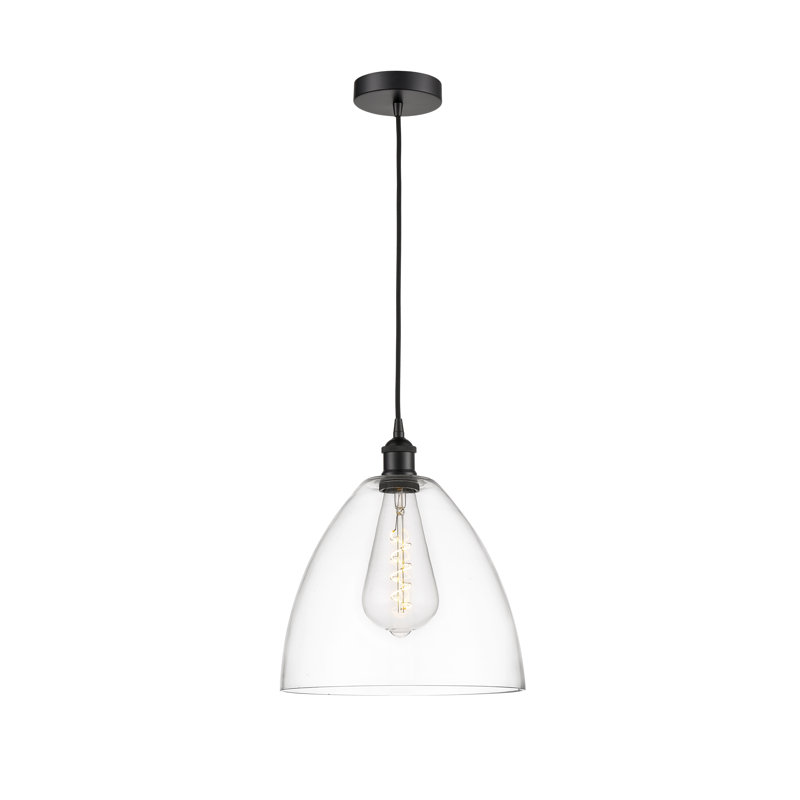 Luminaire suspendu en forme de dôme à 1 lumière Bluford, H 13,75 po x l 12 po x P 12 po, Transparent, Noir mat