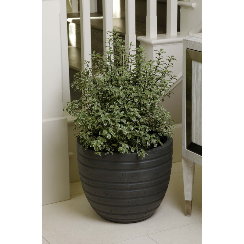 Handmade Vertical Garden, 13" H x 15" W x 15" D, Dark Gray