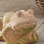 WEATHERED GARDEN FROG