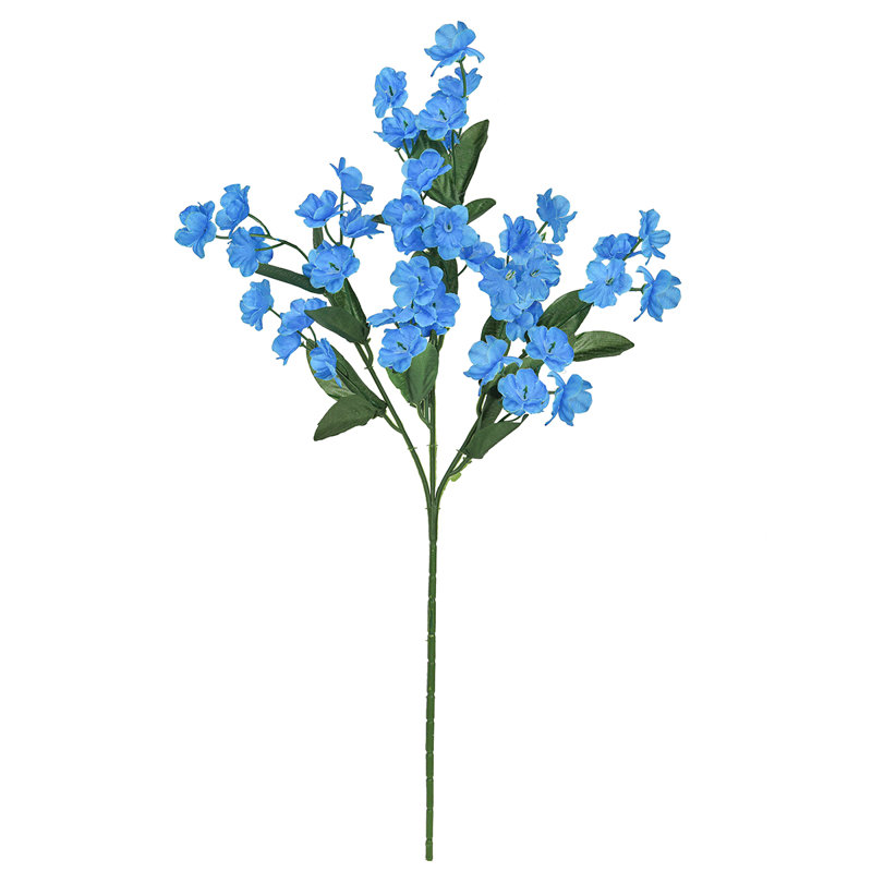 Tige de fleur artificielle Gipsophila, Île Seymour Nord, Galapagos