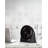 BFP Series BLACK+DECKER Turbo Desk Fan – Electric Portable 7 Inch Table Fan