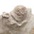 Sand And Cement Coral Planter With Textured Beige Finish-1616422179