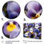 «Purple Yellow Pansies Harmony II», reproduction sur toile-624752859-624752863