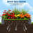 Galvanized Raised Garden Bed with Greenhouse Cover - 6x3x1 Ft Planter Box Kit with Large Zipper Door, Detachable for Outdoor Use-553096638-553096639