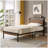 Hubele Metal Platform Bed with USB LINER and LED Lights-2045067292