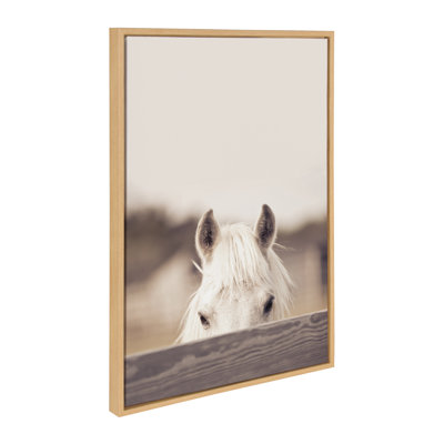 Equine by Robert Cadloff Framed Canvas Wall Art Print