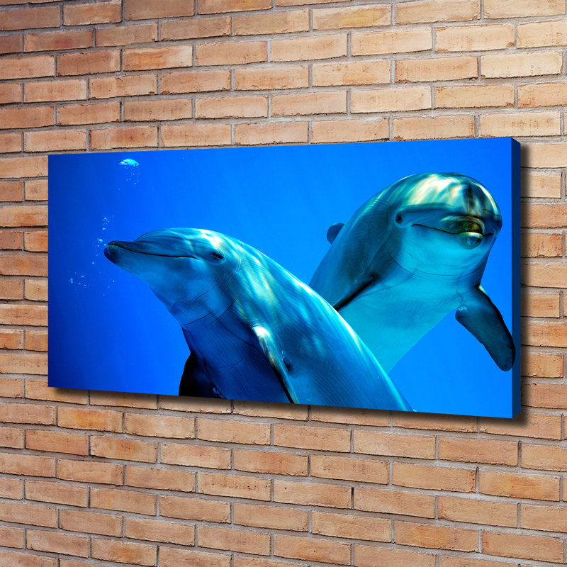 Two Dolphins - Wrapped Canvas Print