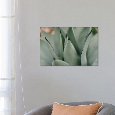 Mint Succulent II 1 Piece Wrapped Canvas Wall Art