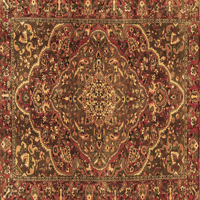 Tapis brun traditionnel Traditional 4493