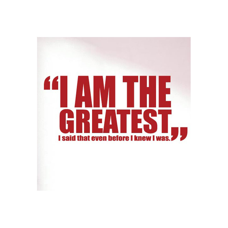 Non-Wall Damaging Wall Decal, Medium, Dark Red