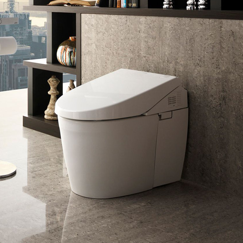 Neorest® Dual-Flush Elongated One-Piece Toilet with High Efficiency Flush (Seat Included), Sedona Beige