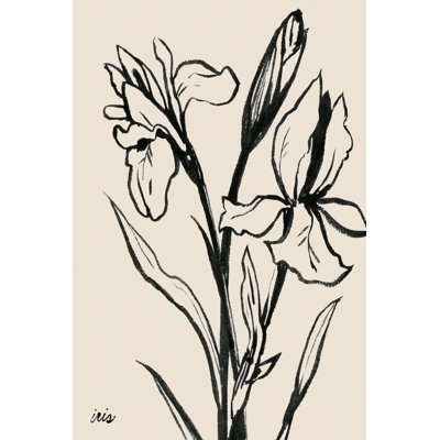 «Iris Sketch IV» par Grace Popp - peinture sur toile tendue