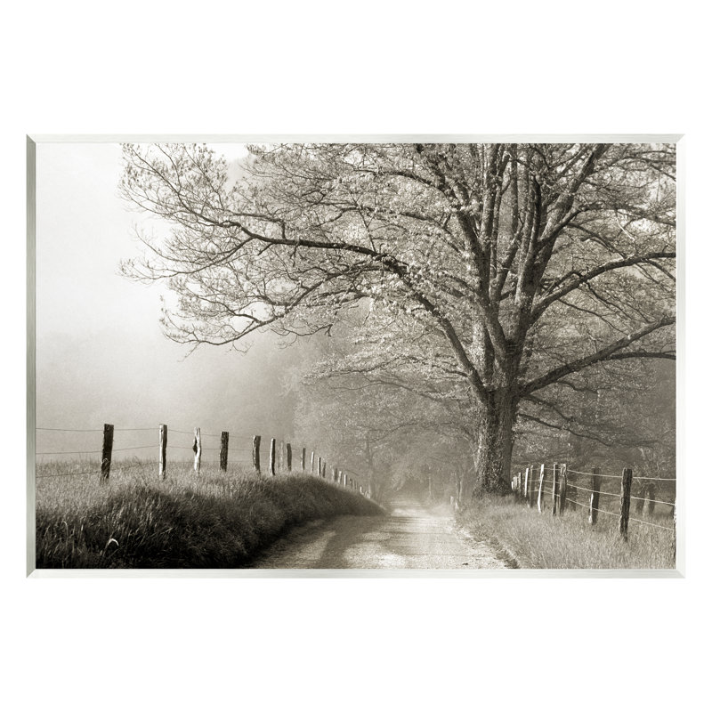 Sentier clôturé de paysage champêtre par Danita Delimont - photographie, H 10 po x l 15 po x P 0,5 po, Unframed