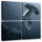 Brampt Might Hammerhead Shark