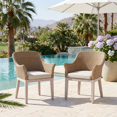 Chaise d'extérieur en osier de patio