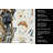 Brindle Mastiff Coffee Bar Kitchen Towel-1168062696