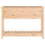 Aalap Wood Raised Garden Bed-1019041430-1019041439