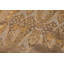 Tapis oriental gris / beige en laine et soie noué à la main 8 pi 3 po x 9 pi 9 po Baccio