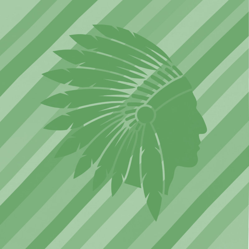 Édredon Native American Silhouette, Twin Extra Long, Medium Green Light Green