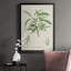 Amande antique botanique III-88436833-88436836