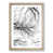 Oak Framed selected