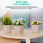 Abellas-Bauzo Pot Planter-1422744773