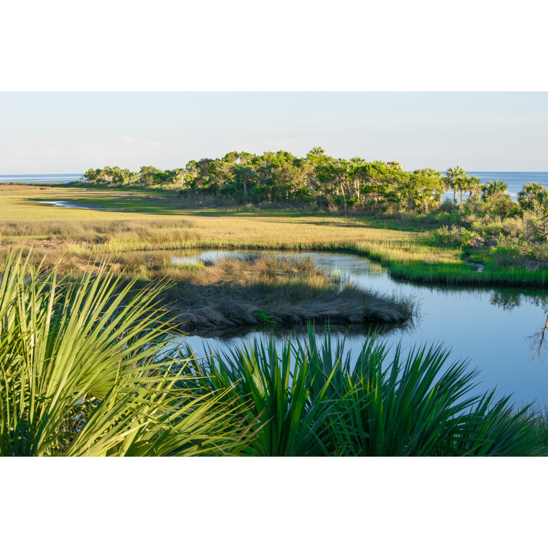 Coastal Wetlands von Michael Warren - Kunstdrucke auf Leinwand