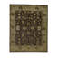 Wool Oriental Area Rug in Beige/Dark Brown/Olive
