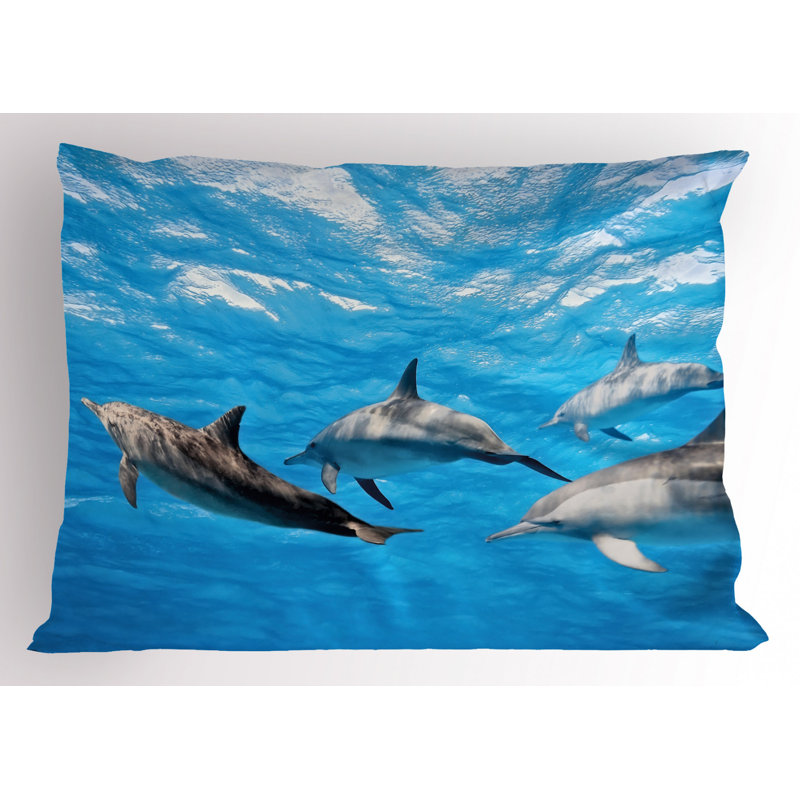 Dolphin Polyester Sham Set, Twin