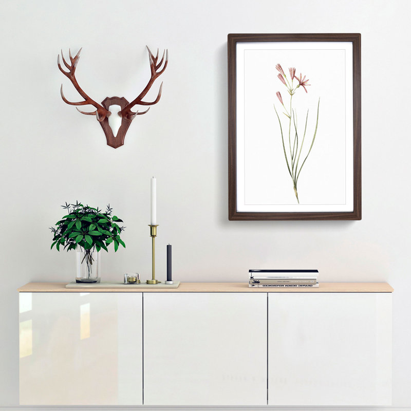Amaryllis Flowers 1 Piece Single Picture Frame Painting, 33cm H x 24cm W x 2cm D, Walnut Framed
