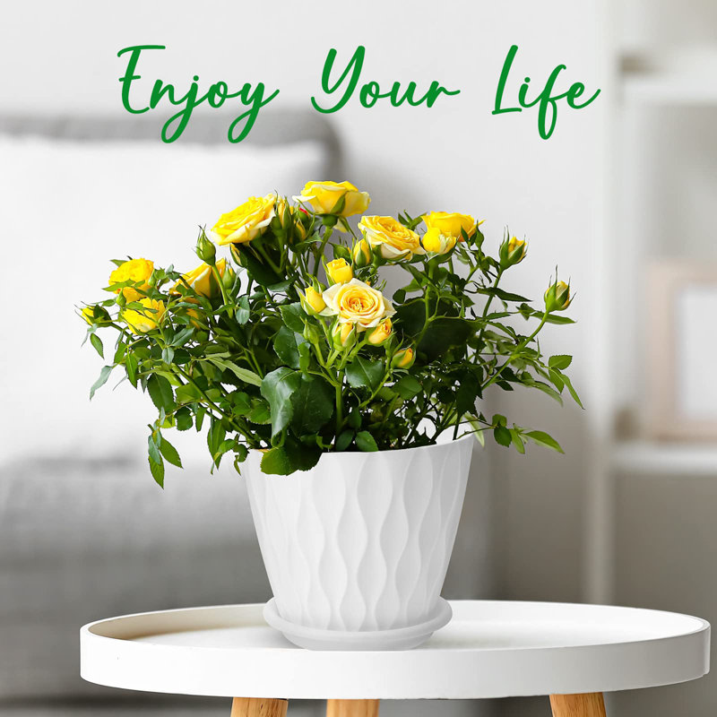 6 inch Plant Pots 5 Pack, White