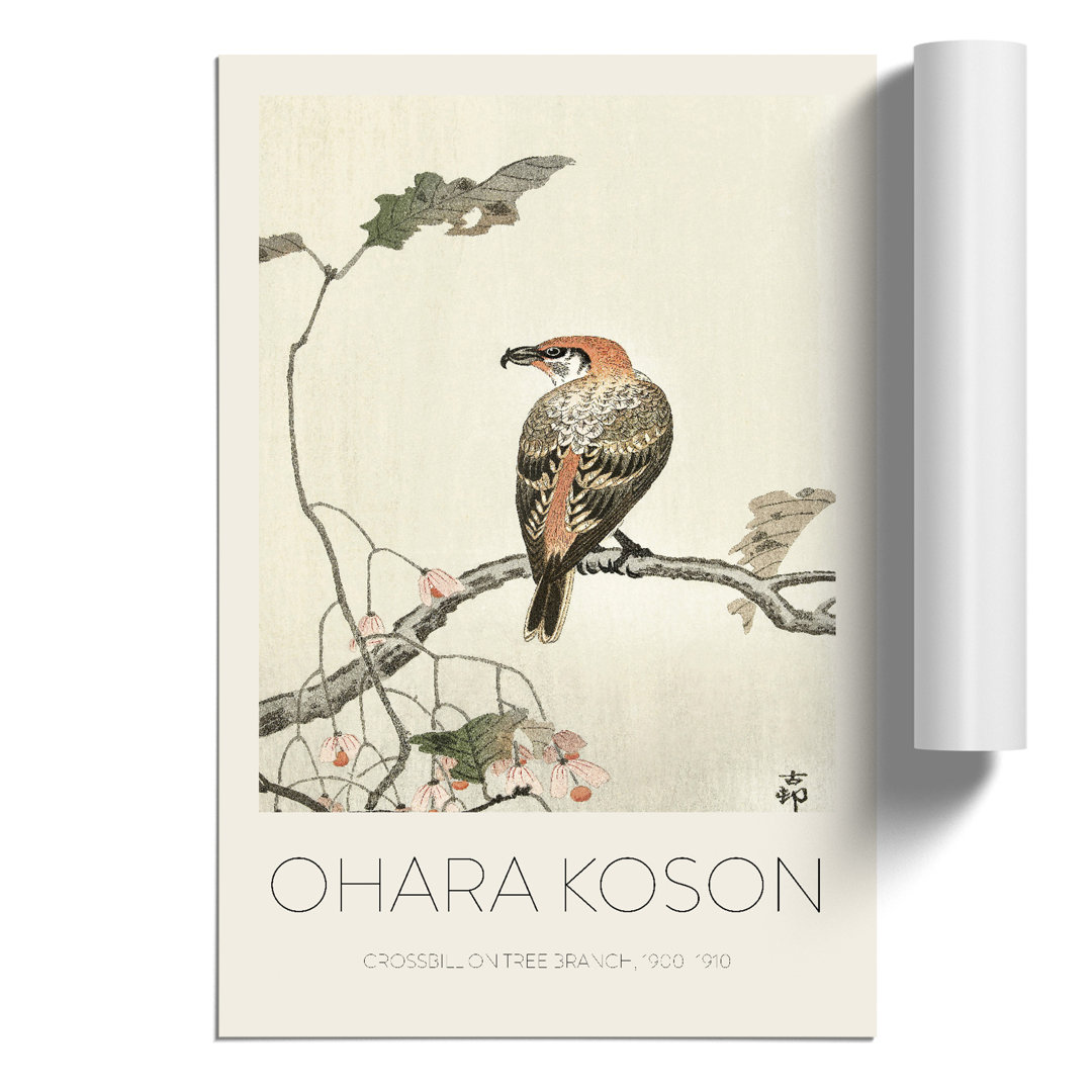 Crossbill on a Tree Branch Print by Ohara Koson - Frameless Print