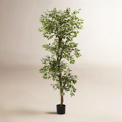 66'' Faux Ficus Tree in Pot