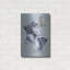 «Arctic King» par Barbara Keith-1850090658