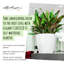 Classico Pot Planter-16493121-16493124