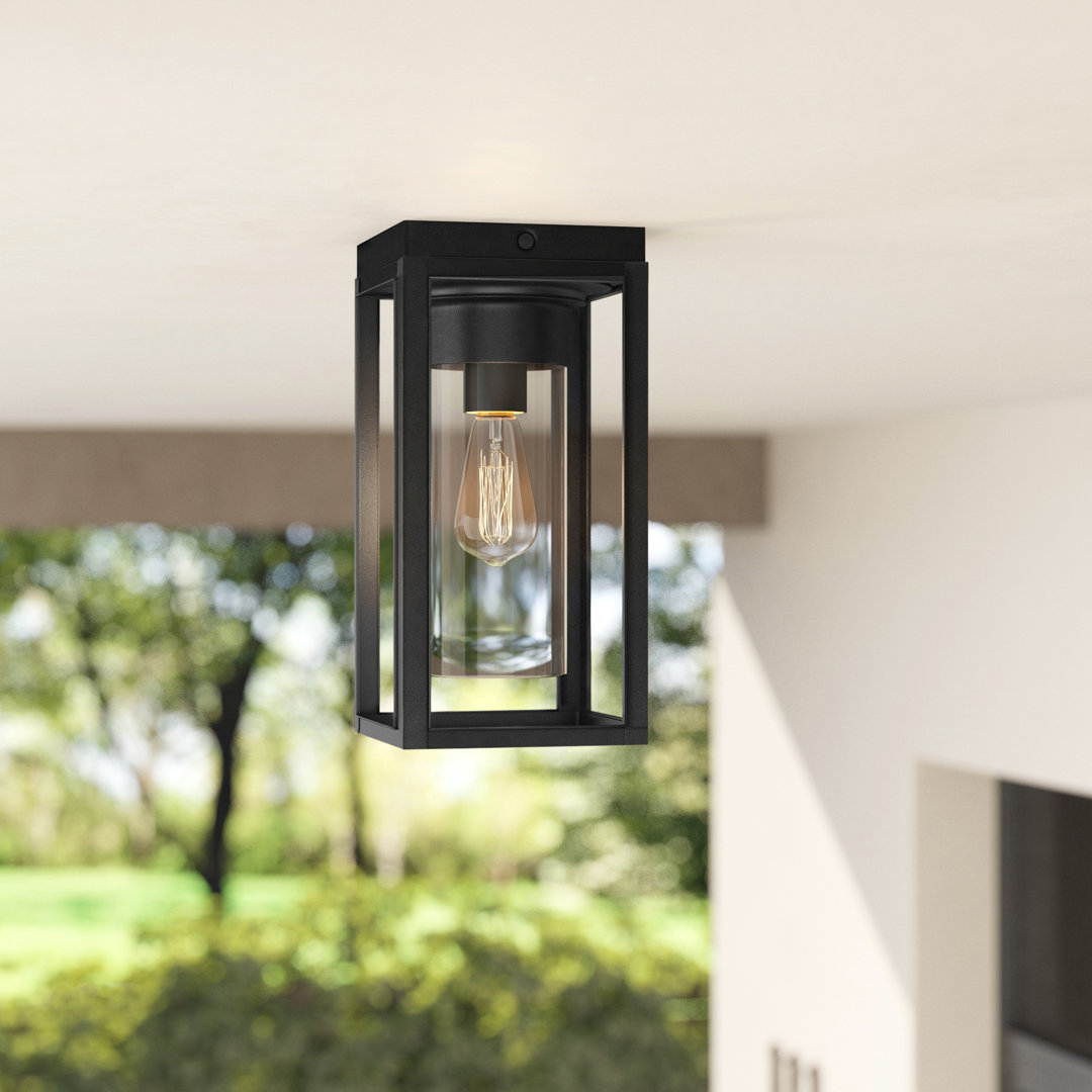Damarcus 1 - Bulb Outdoor Flush Mount Greyleigh™ Fixture 