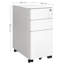 Alinne 30cm Wide File Cabinet-1654547404