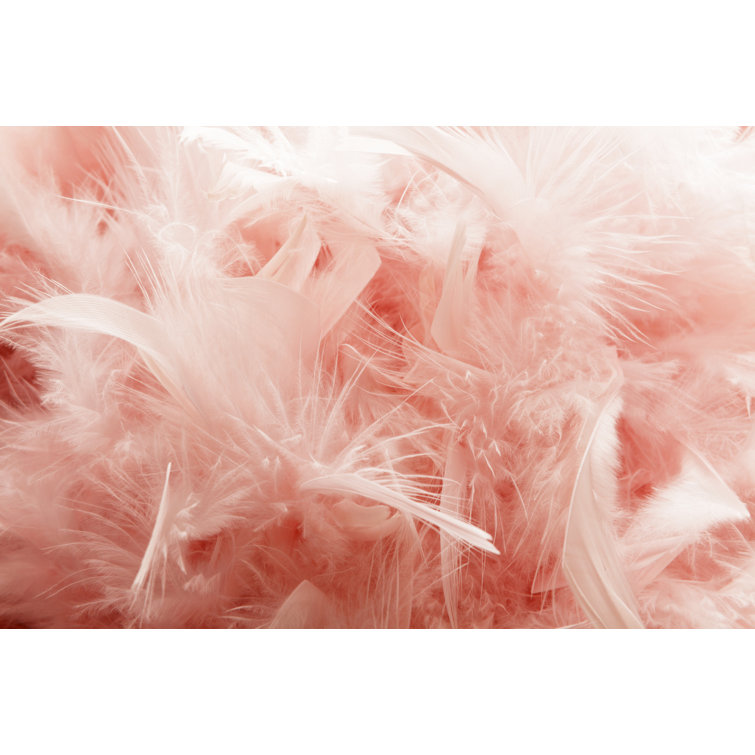Pink Feather Background by Floortje - Wrapped Canvas Print