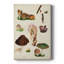 Mushroom Species IX - Gallery Cavas-117749937