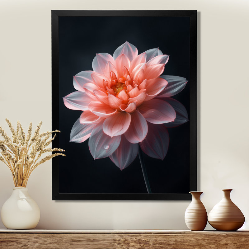 Rose sur fond noir Dahlia Vibes II - Dahlia, 34" H x 44" W, Cadre simple noir