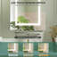 Ayyash 40x66cm Wall-Mounted LED Mirror Cabinet with 3-Tier Storage