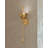 Antalya 1 Light Wall Sconce-93671852