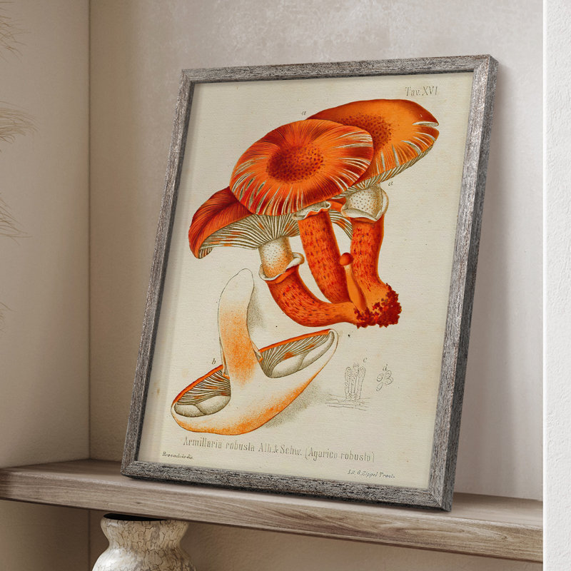 Reproduction encadrée Mushroom Variétés VII - bois massif, H 21 po x l 17 po