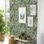 Wild Meadow Botanical Wallpaper-1634310209