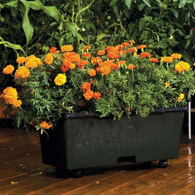 Planter Box, Dark Green