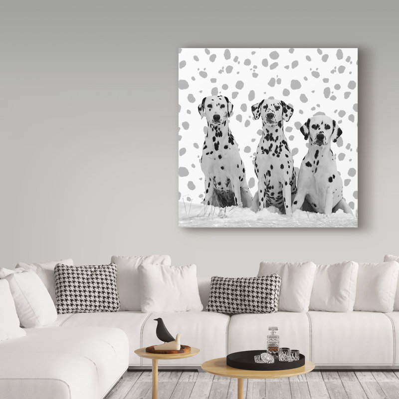 « dalmatien », reproduction d’impression sur toile tendue, H 14 po x l 14 po
