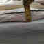 Customer photo 7 of 9
