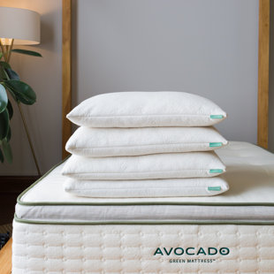 Coussin Avocat