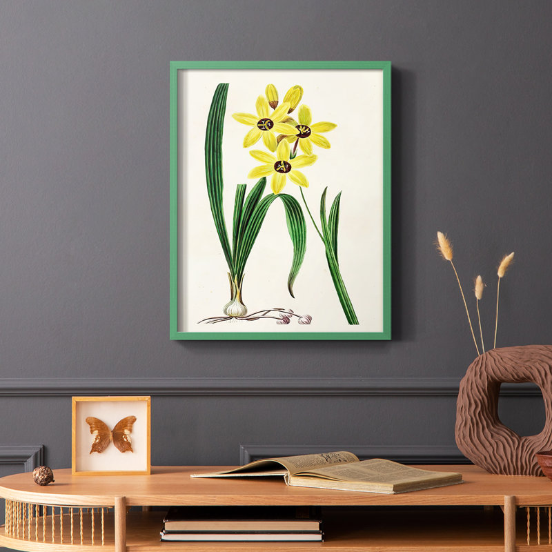 Reproduction encadrée Antique Floral Folio VI - bois massif, Vert, H 10 po x l 8 po