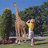 Mombasa the Giraffe Garden Statue